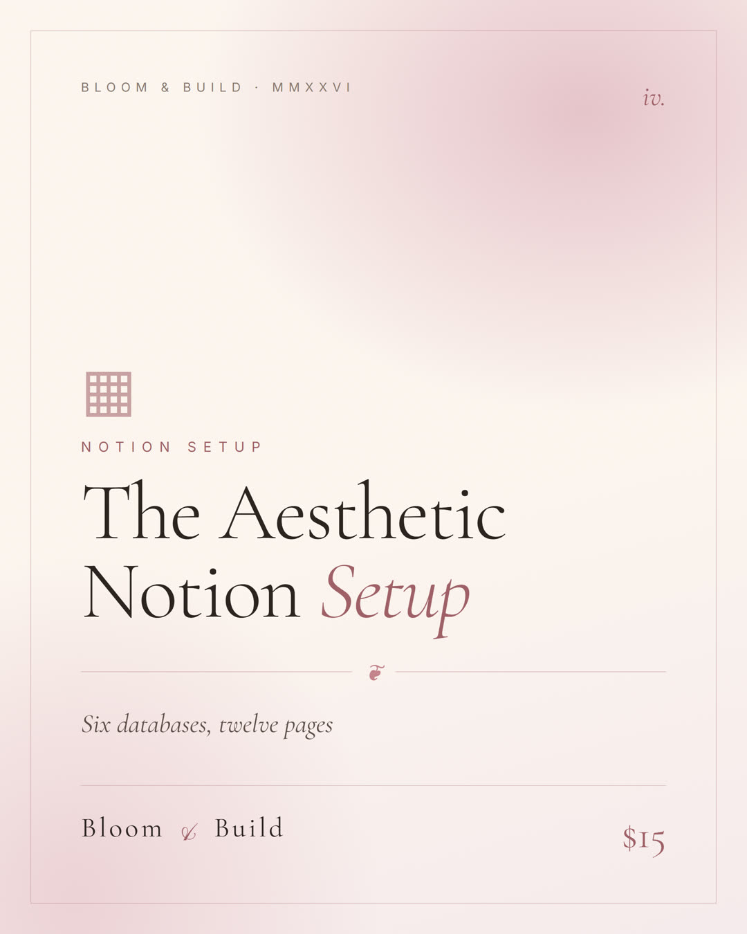 The Aesthetic Notion Setup product cover
